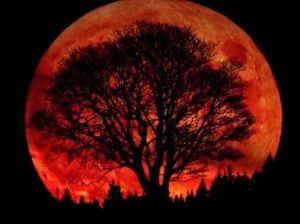 SUPERLUNA SANGUE 1