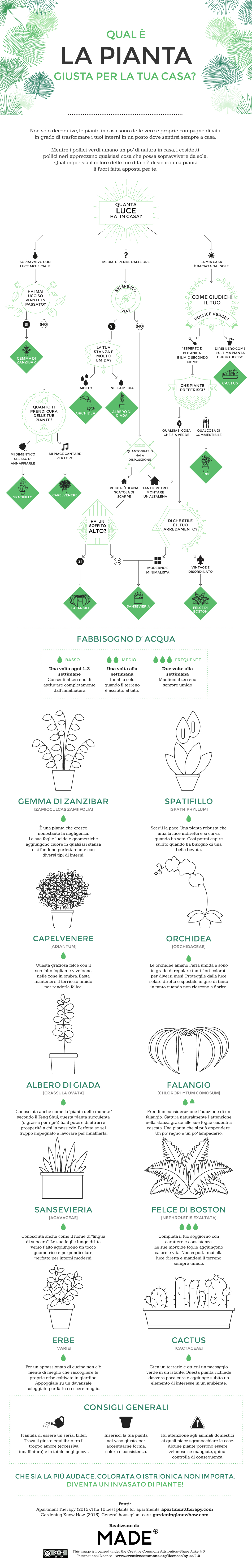 Which-indoor-plant-is-right-for-your-home-ITALIAN (1)