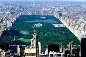 CENTRAL PARK 4