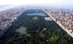 CENTRAL PARK 6