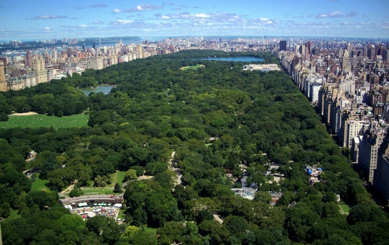 La Metropoli Con Il Celeberrimo Central Park