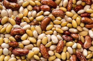 FAGIOLI