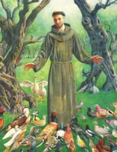 SAN FRANCESCO 6