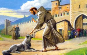 San Francesco e il Lupo (5)