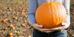 ZUCCA 1