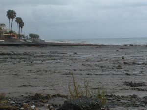 furci (4)