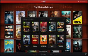 netfilx