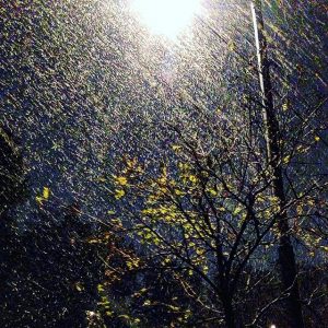 neve mosca (5)