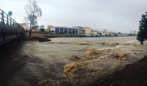 olbia (4)