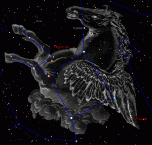 pegaso1