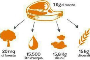 produzione_carne