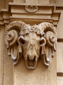 torino4