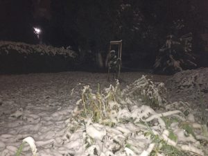 Le nevicate che la scorsa domenica hanno imbiancato il settore più occidentale dell'Ucraina