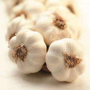 AGLIO 2