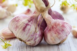 AGLIO