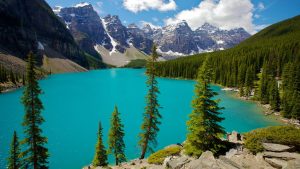 BANFF 2