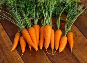 CAROTA