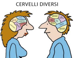 CERVELLI