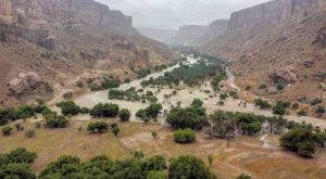 Chapala Arabia Saudita Yemen (9)