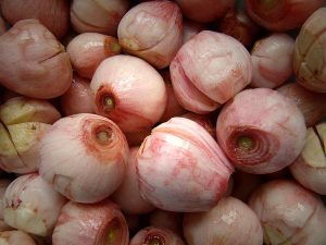 LAMPASCIONI