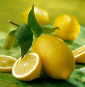 LIMONE COP 2