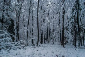 Neve Europa (2)