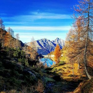 alpi (5)