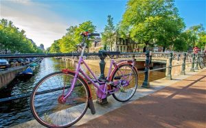 amsterdam-summer_2915713b