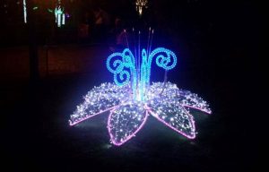luminarie salerno (6)