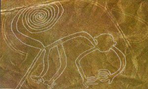 nazca-monkey