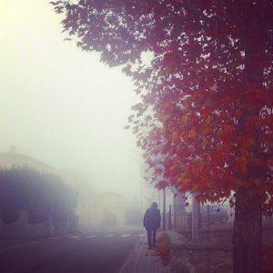 nebbia reggio emilia