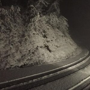 neve 02