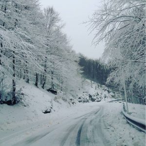 neve 02