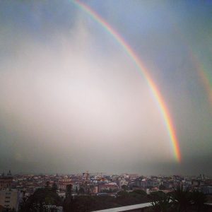 palermo 14