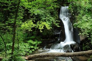 Cascate, Calcata,