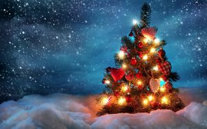 ALBERO NATALE 2