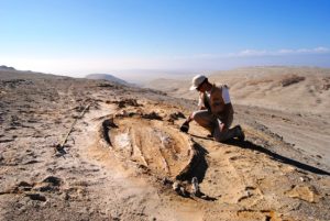 Peru1_web