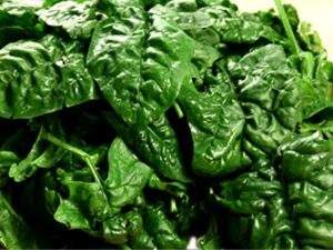 SPINACI 2