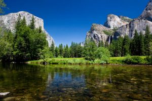 YOSEMITE COP  1
