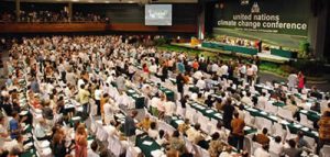 cop13_15_6_400