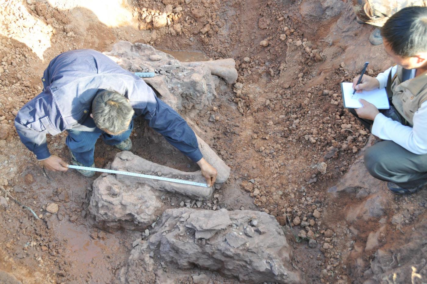 180 Million-year-old Dinosaur Fossils Unearthed By Road