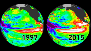 el nino 2015