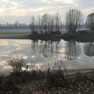fiume po siccità