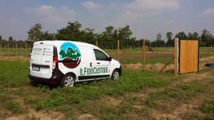 il fido custode