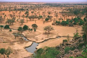 sahel