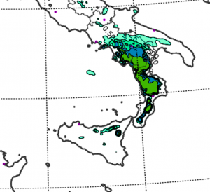Allerta Neve Oggi