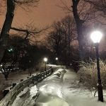 Central Park sommerso dalla neve: le FOTO dal polmone verde nel cuore di New York