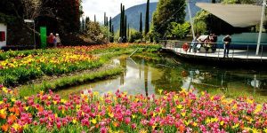 Laghetto-delle-Ninfee-ai-Giardini-di-Sissi