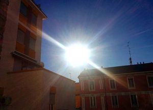 Milano sole e caldo 12 gennaio 2016 (2)