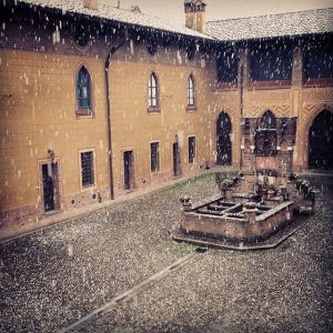 NEVE (3)